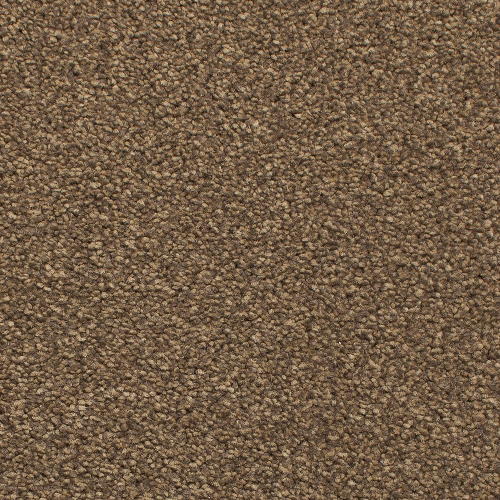 Satisfaction Regency Carpet - Image 5