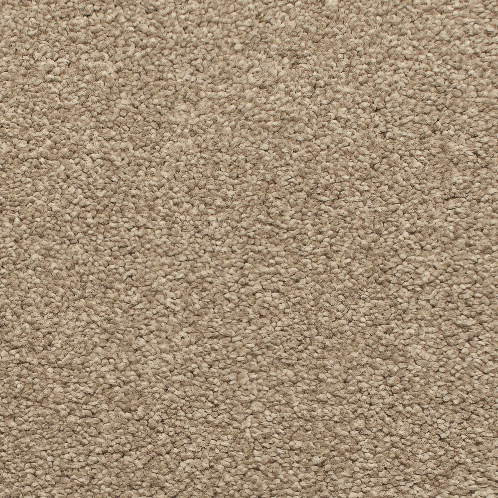Satisfaction Regency Carpet - Image 6
