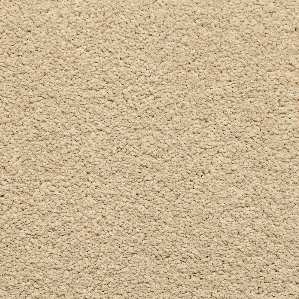 Satisfaction Regency Carpet - Image 8
