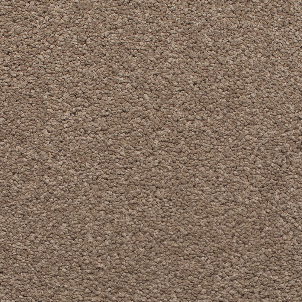Satisfaction Regency Carpet - Image 9