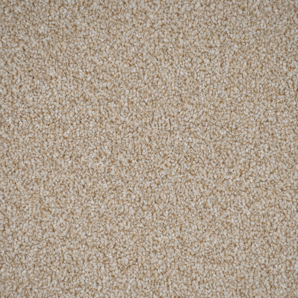 Savannah Stainfree Rustique Ultra Carpet by Abingdon - Image 3