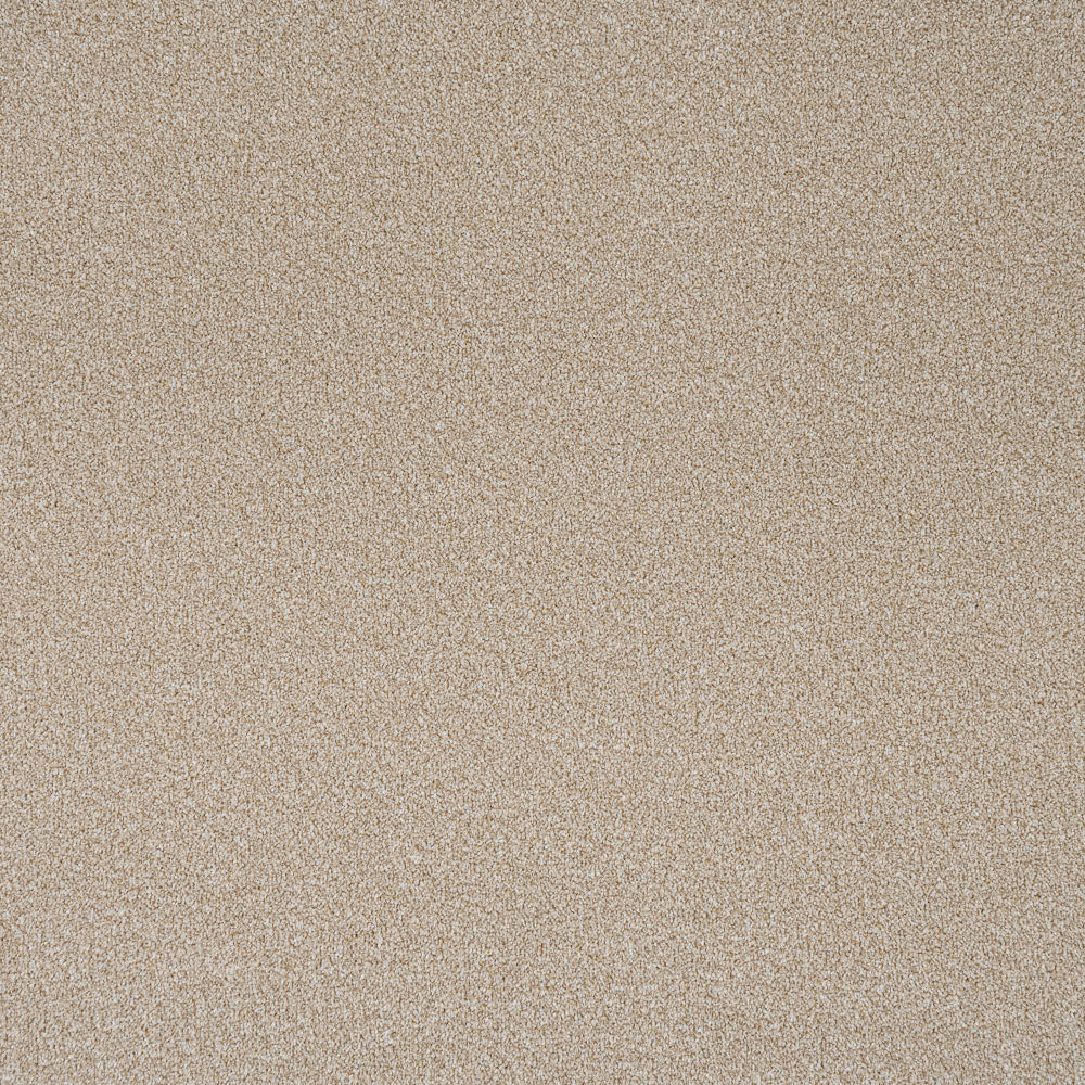 Savannah Stainfree Rustique Ultra Carpet by Abingdon - Image 5