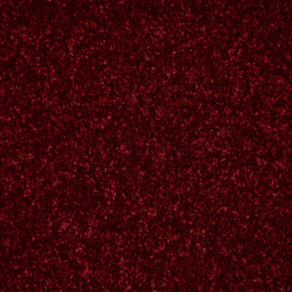 Scarlet Apollo Plus Carpet by Cormar - Image 4