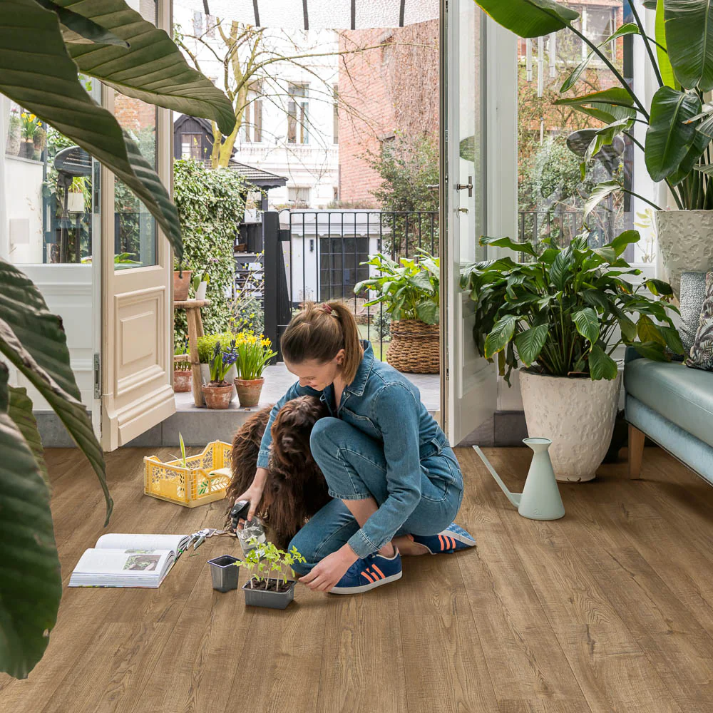 Scraped Oak Grey Brown IM1850 Impressive 8mm Laminate Flooring by Quick-Step - Image 3