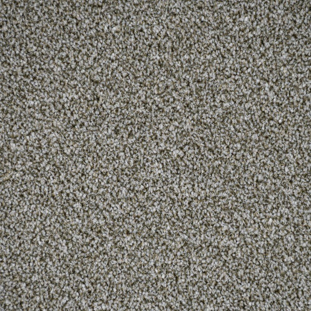 Sedge Stainfree Rustique Ultra Carpet by Abingdon - Image 3