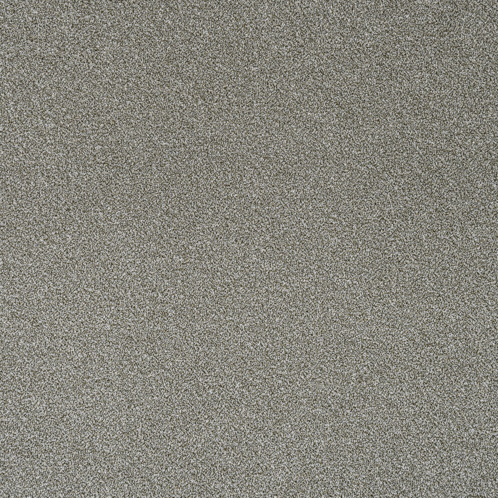 Sedge Stainfree Rustique Ultra Carpet by Abingdon - Image 5