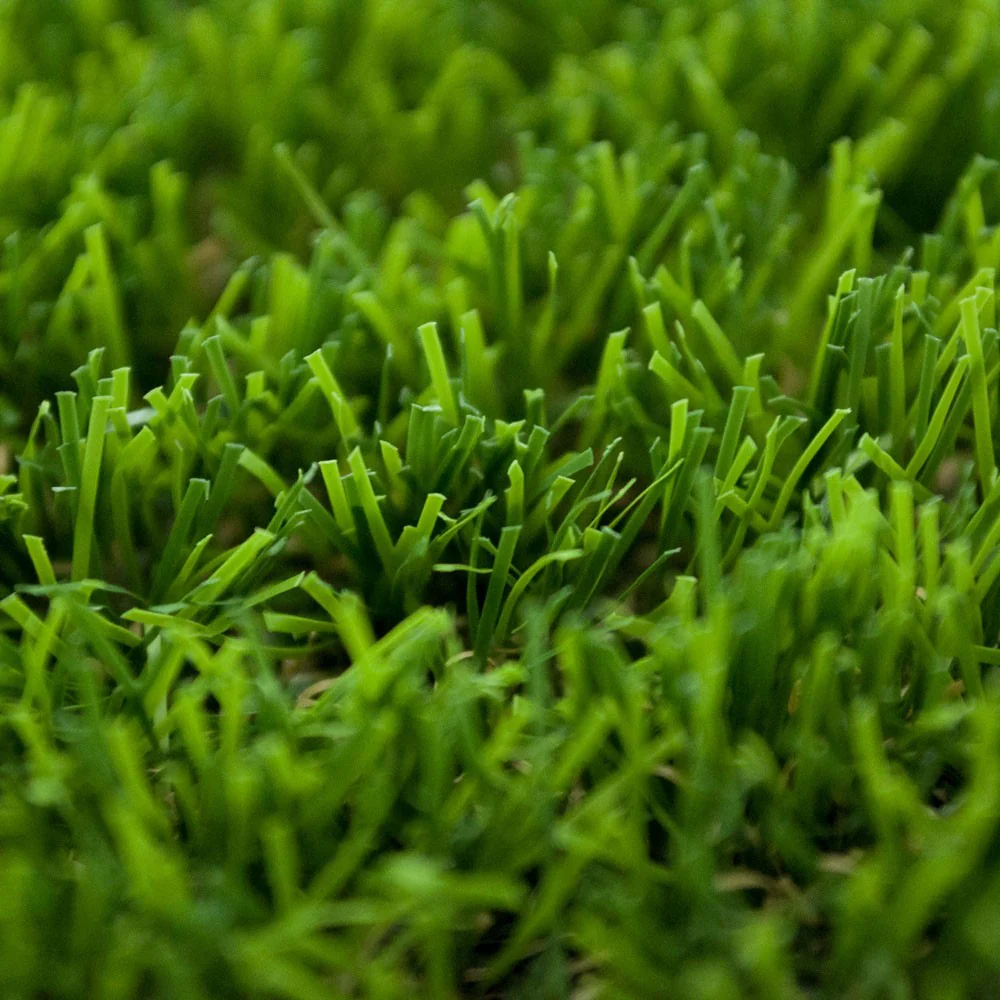 Sequoia 40mm Artificial Grass - Image 4