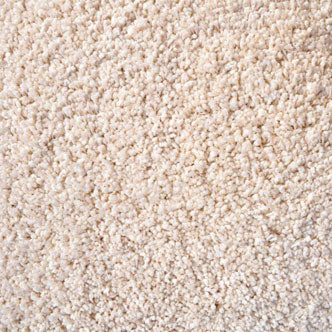 Shaggy Exclusive Carpet - Image 4