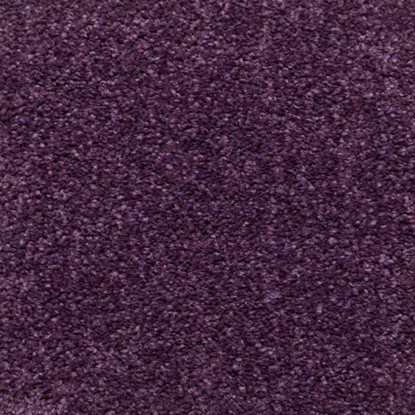 Charm Saxony Carpet - Image 8
