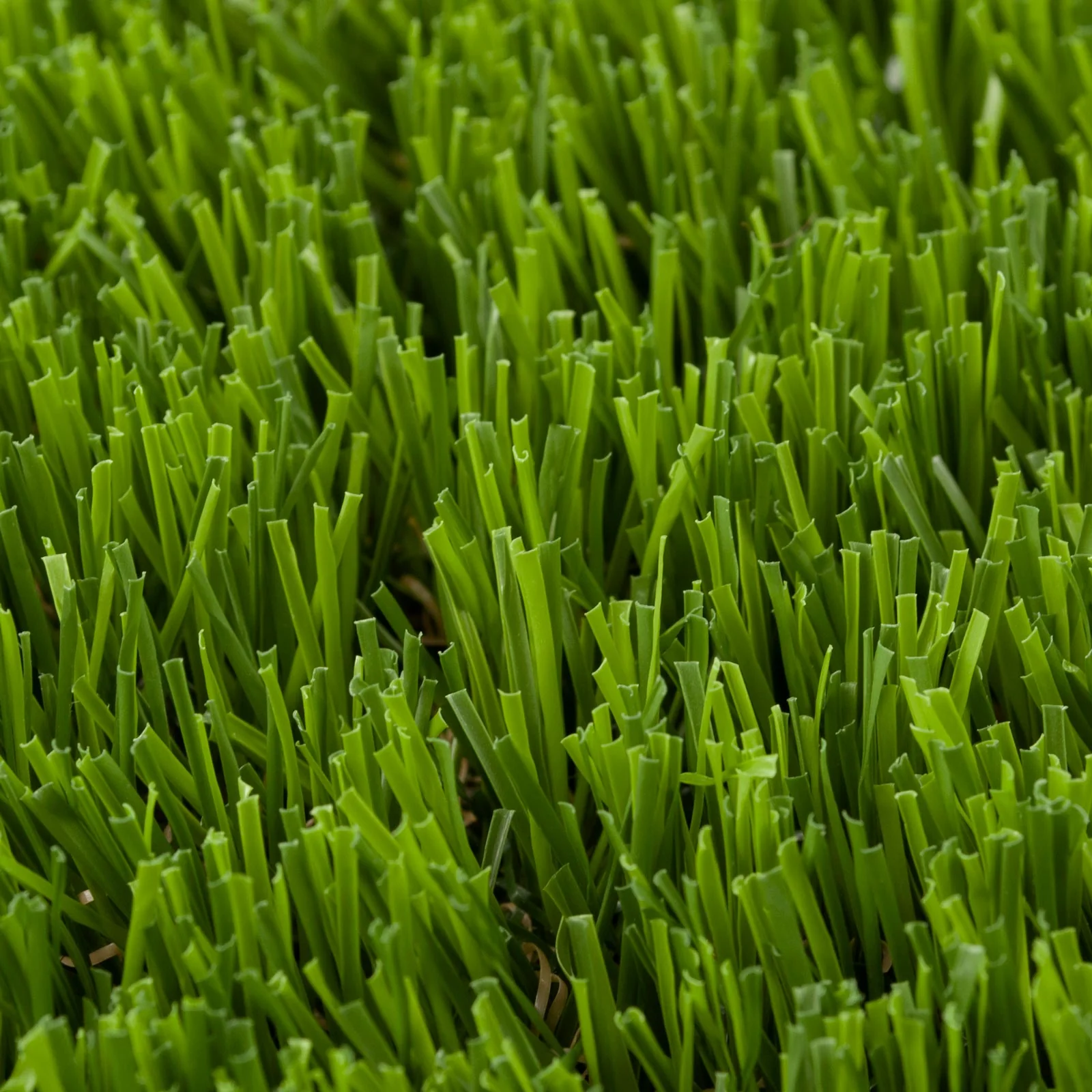 Shelbourne 37mm Artificial Grass - Image 4