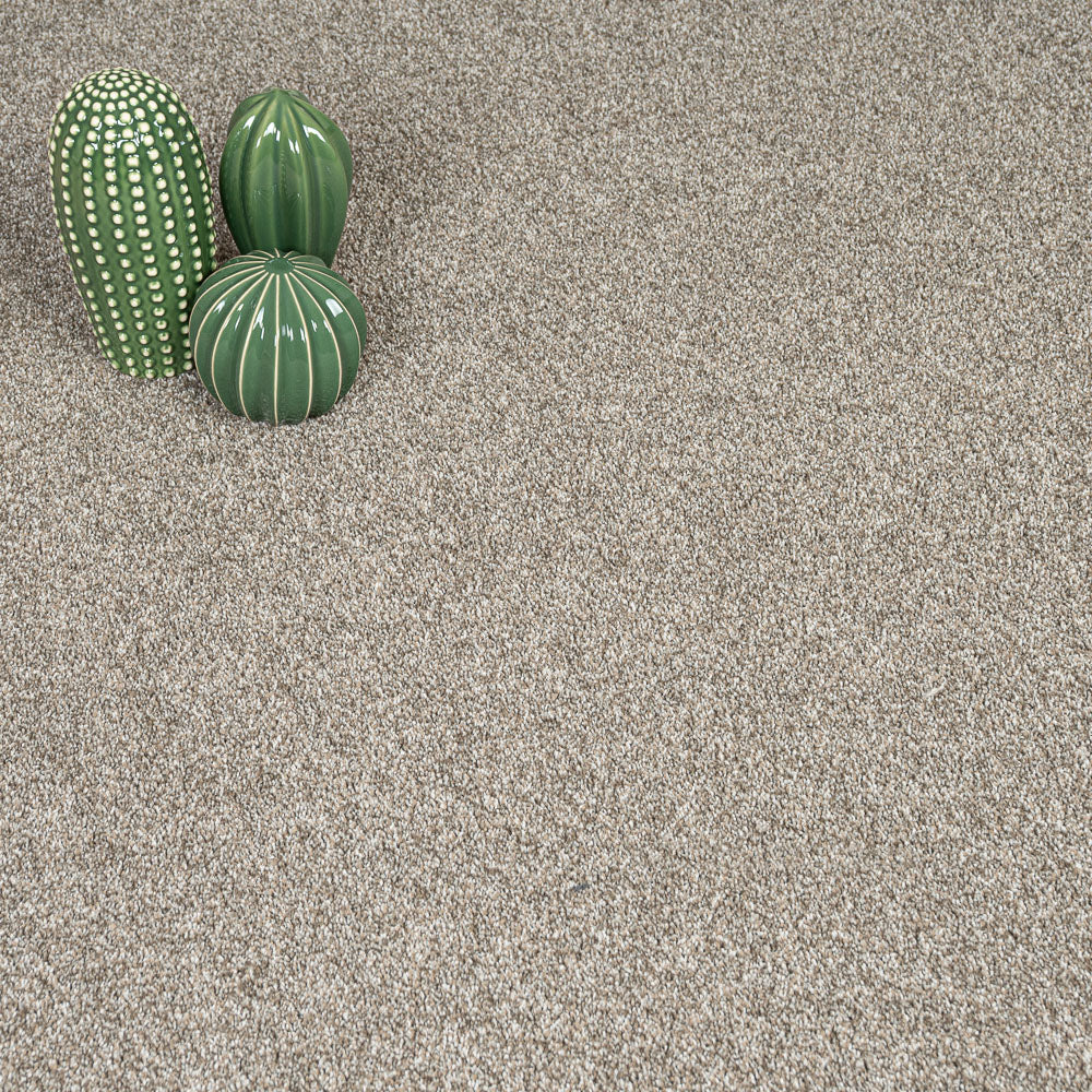 Shell Harewood Saxony Carpet