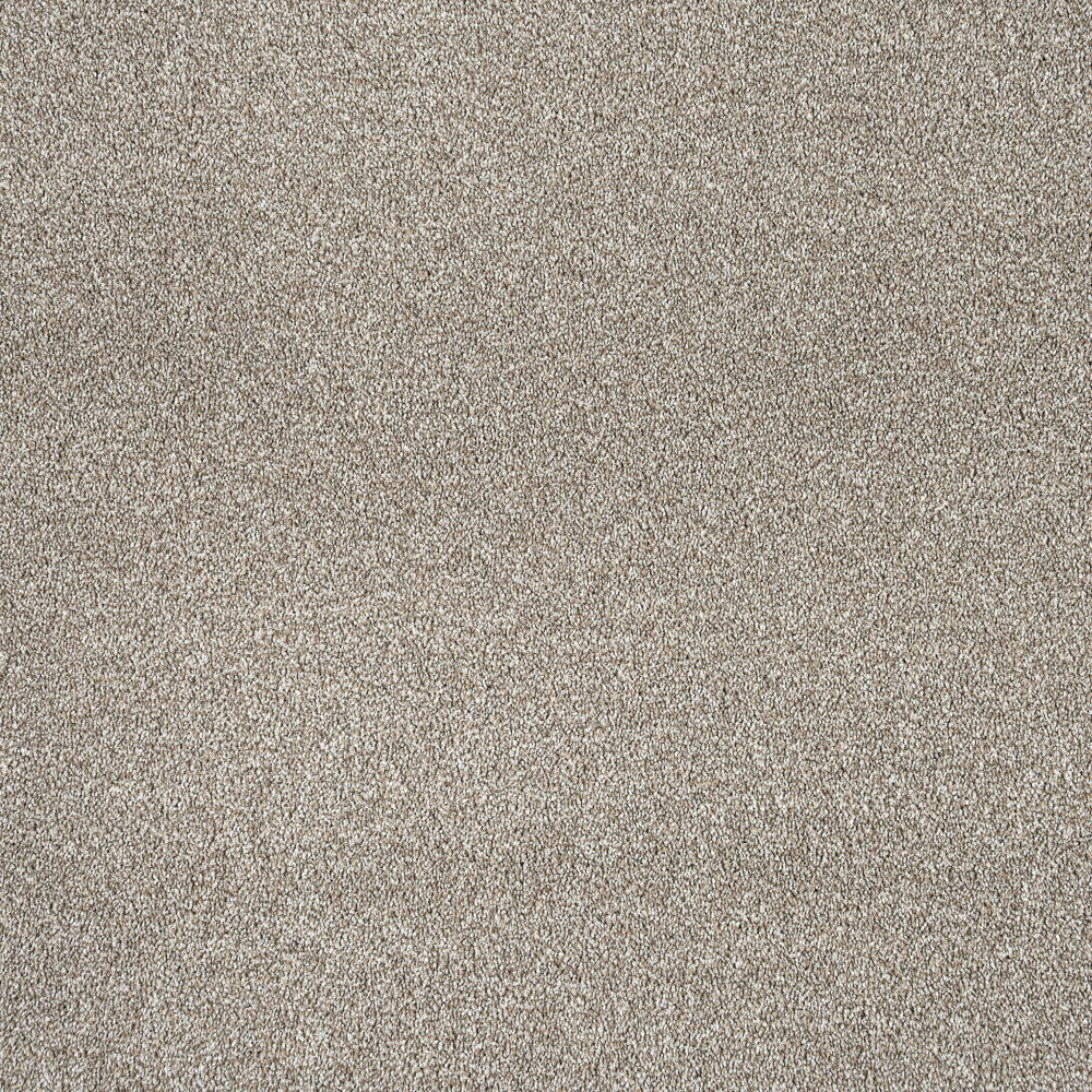 Shell Harewood Saxony Carpet - Image 5