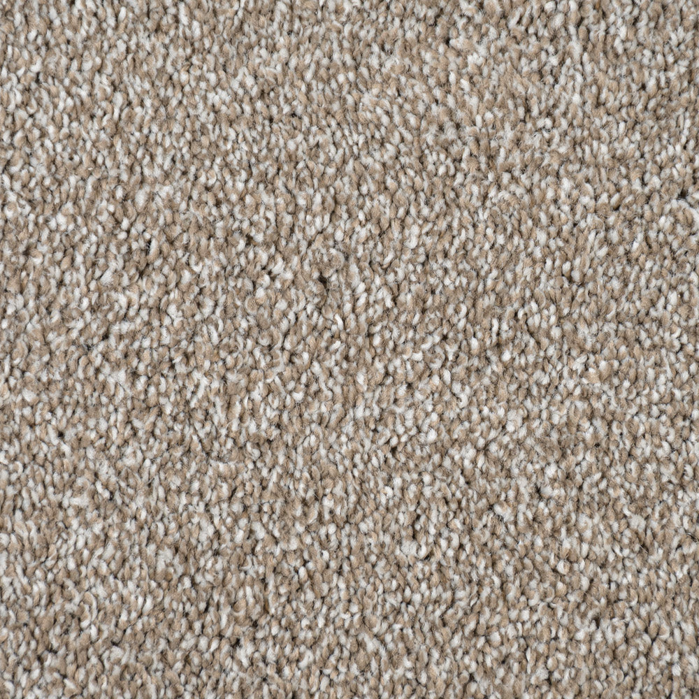 Shell Maverick Saxony Carpet - Image 3