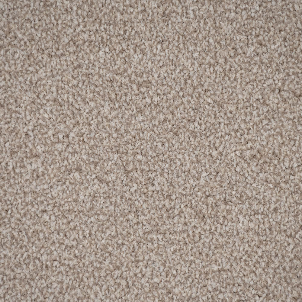 Shortbread Apollo Plus Carpet by Cormar - Image 4