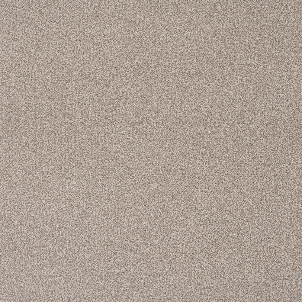 Shortbread Apollo Plus Carpet by Cormar - Image 6