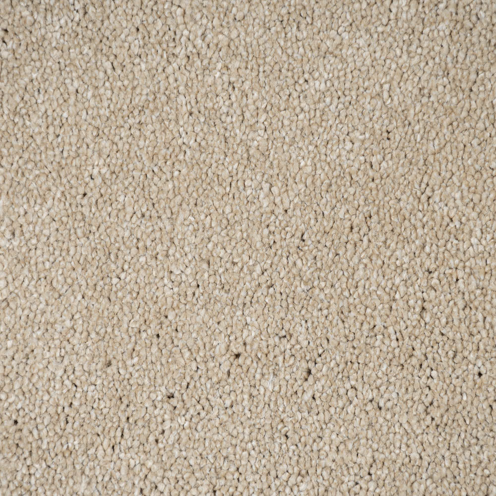 Shortbread Beige Dunham Saxony Carpet - Image 4