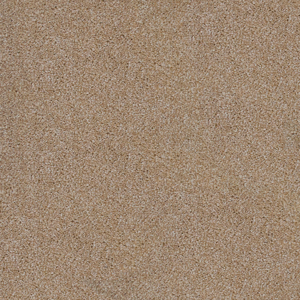 Sierra Snow 665 Saxon King Saxony Carpet - Image 2