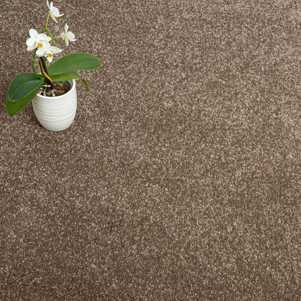 Silt 45 Sophistication Supreme FusionBac Carpet