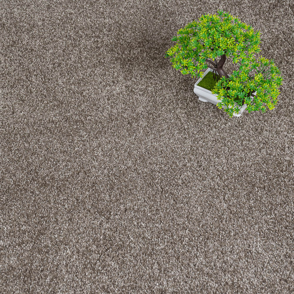 Silt 46 Serenity iSense Carpet - Image 2
