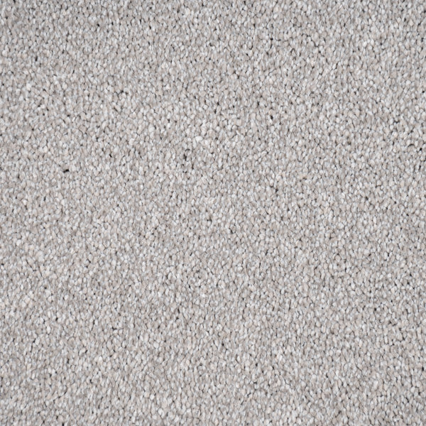 Silver Stainfree Caress Carpet by Abingdon - Image 3