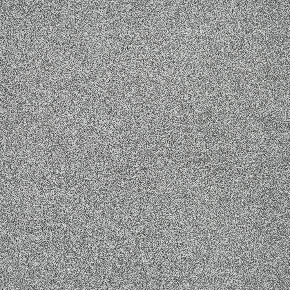Silver Thaw 93 Cassius 70oz Invictus Carpet - Image 3