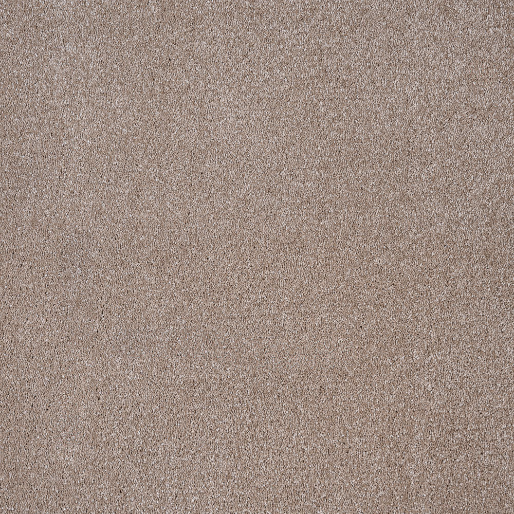 Sirius 70oz Invictus Carpet - Image 3