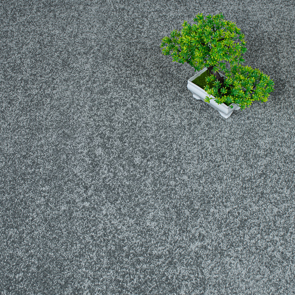 Slate 95 Magnificus Invictus Supreme Carpet