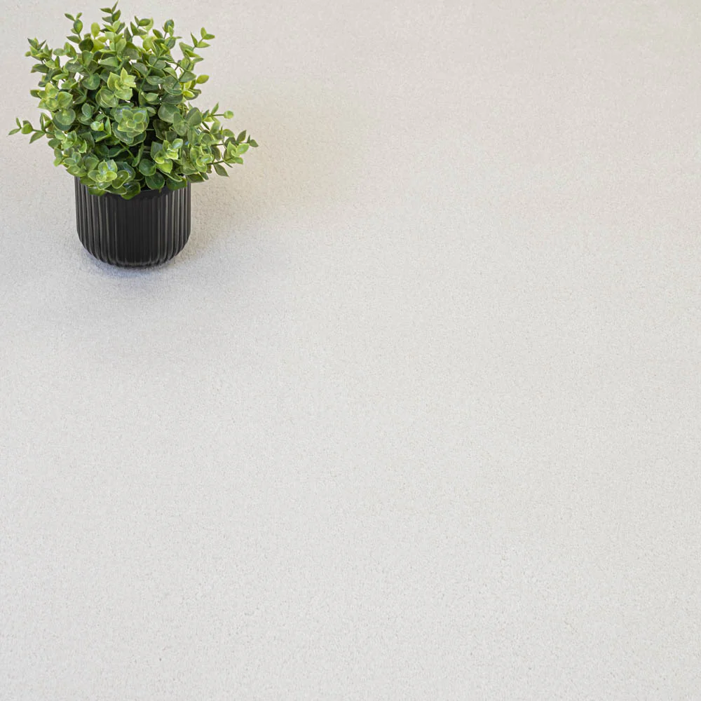 Snow White Moxie Saxony Carpet