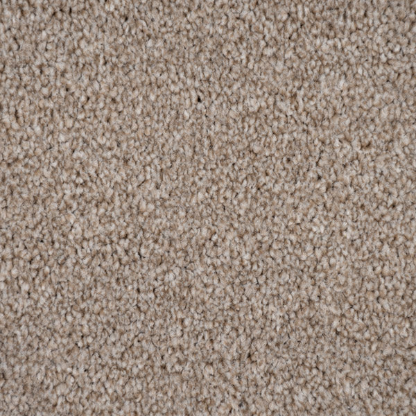 Soft Beige Versailles Twist Carpet - Image 3