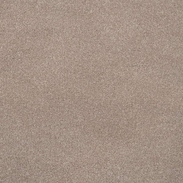 Soft Beige Versailles Twist Carpet - Image 5