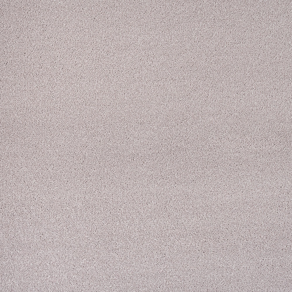 Soft Noble Saxony Carpet Clearance - Image 2