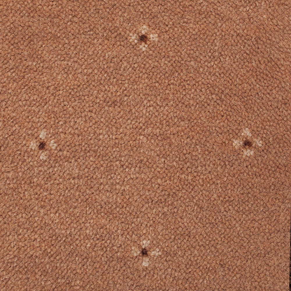 Solo Saxony Carpet - Image 7