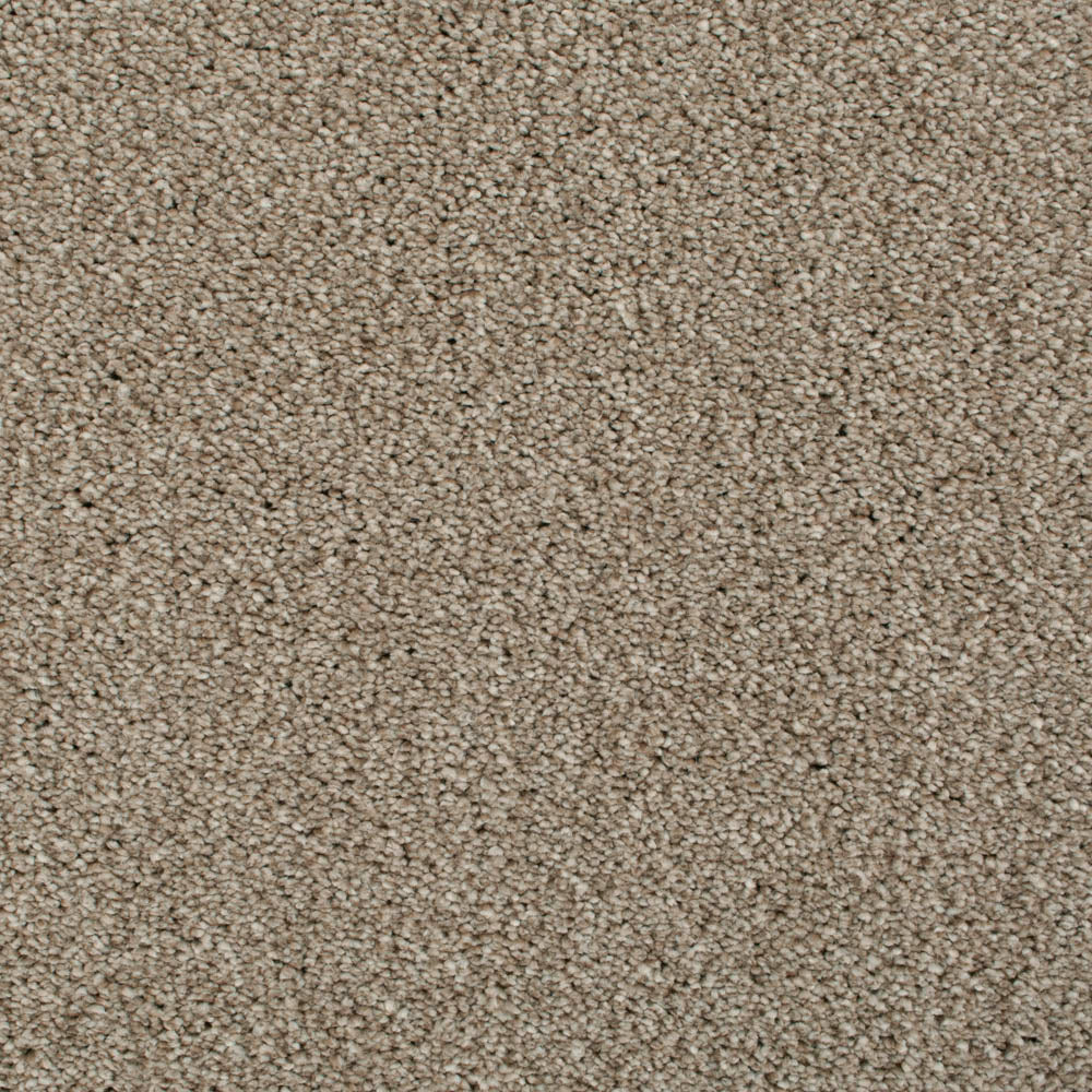 Soya 37 Cassius 70oz Heathers Invictus Carpet Clearance