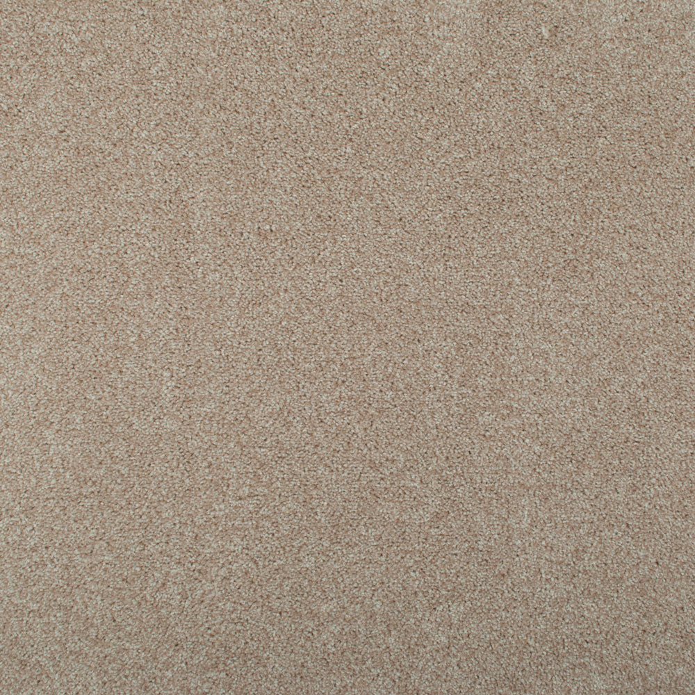 Splendid Saxony Actionback Carpet - Image 2