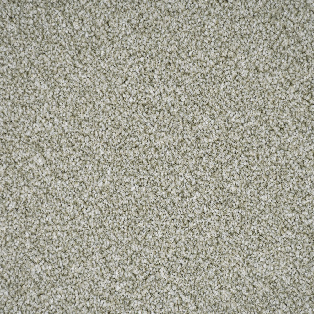 Spring Bud Stainfree Rustique Ultra Carpet by Abingdon - Image 3