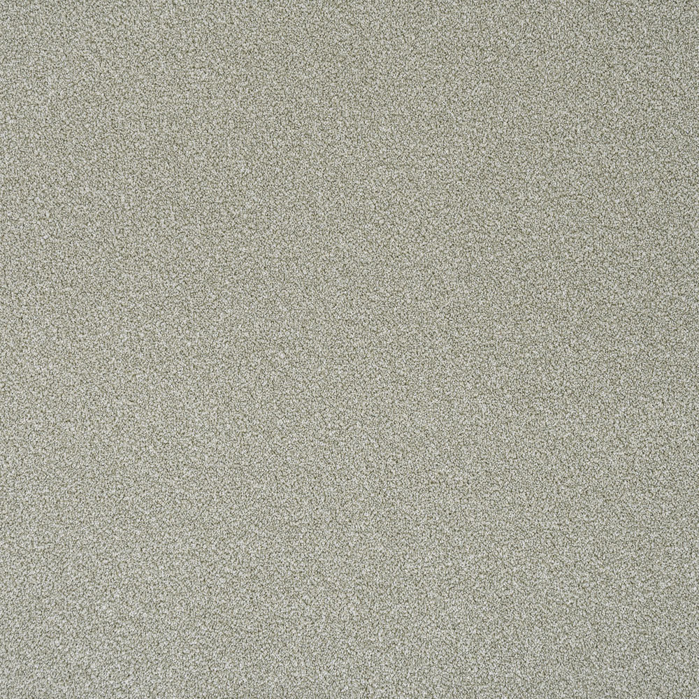 Spring Bud Stainfree Rustique Ultra Carpet by Abingdon - Image 5