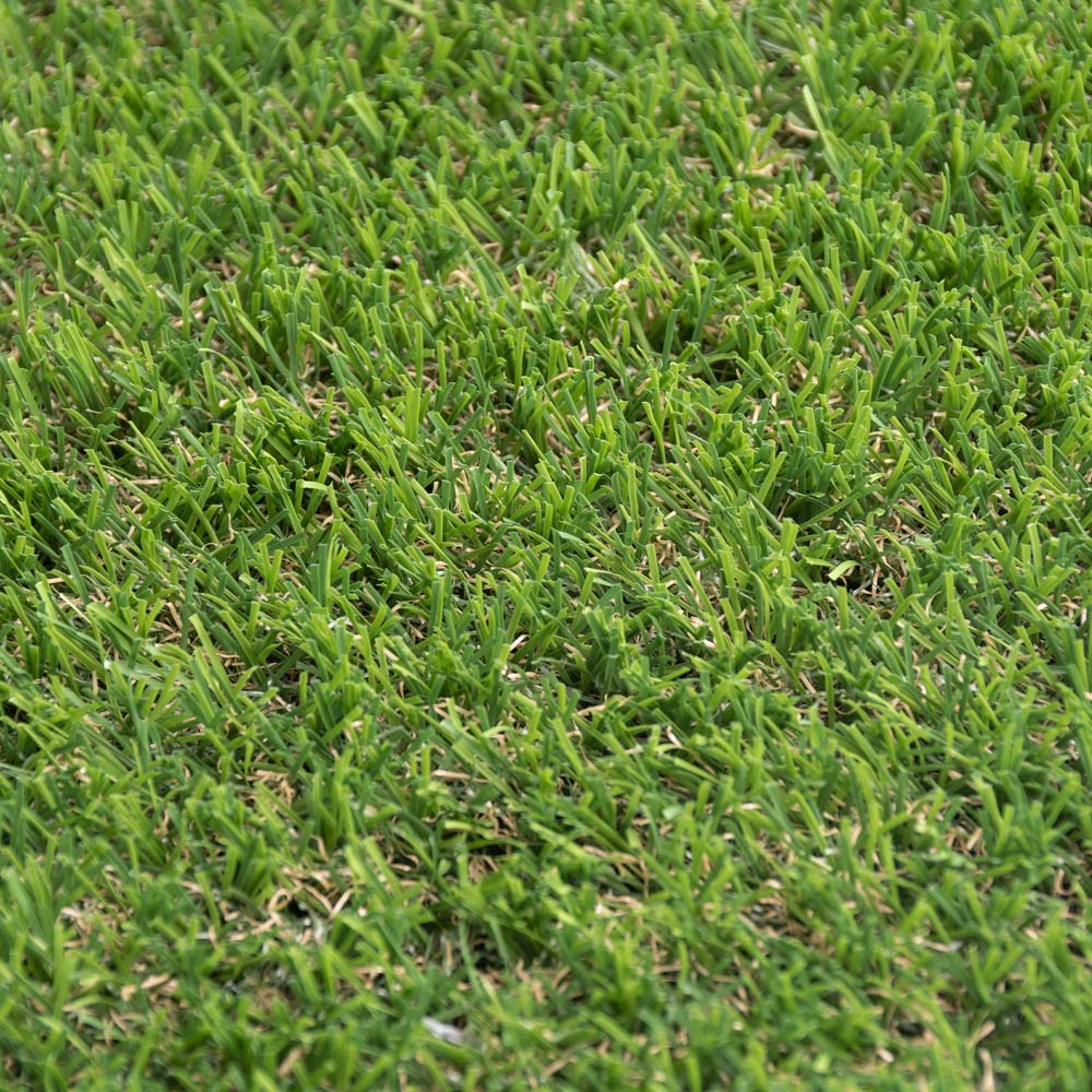Sprucepark 25mm Artificial Grass - Image 4