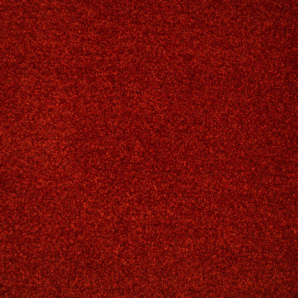 Stainaway Supreme Carpet - Image 2