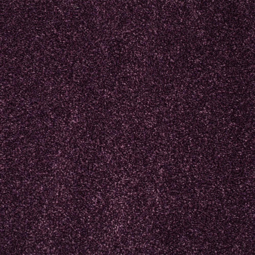 Stainaway Supreme Carpet - Image 3
