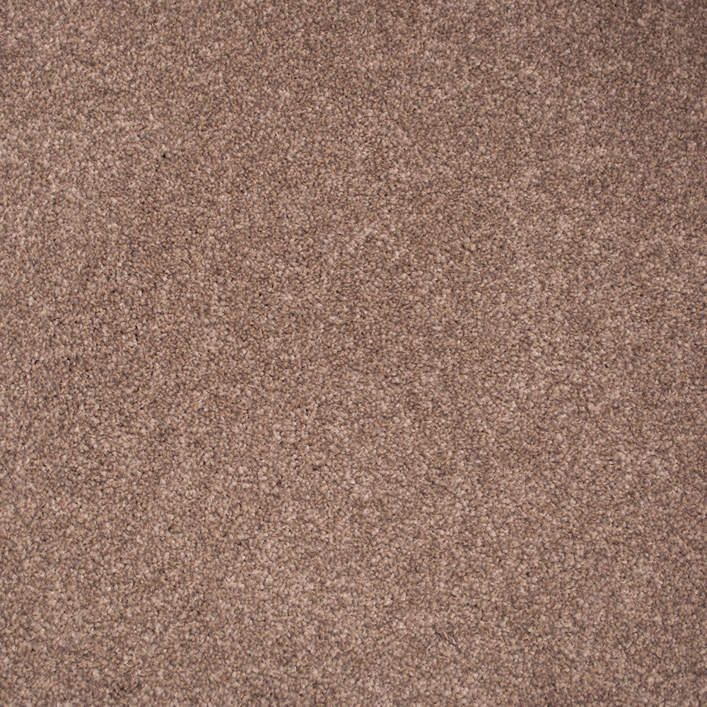 Stainaway Supreme Carpet - Image 4