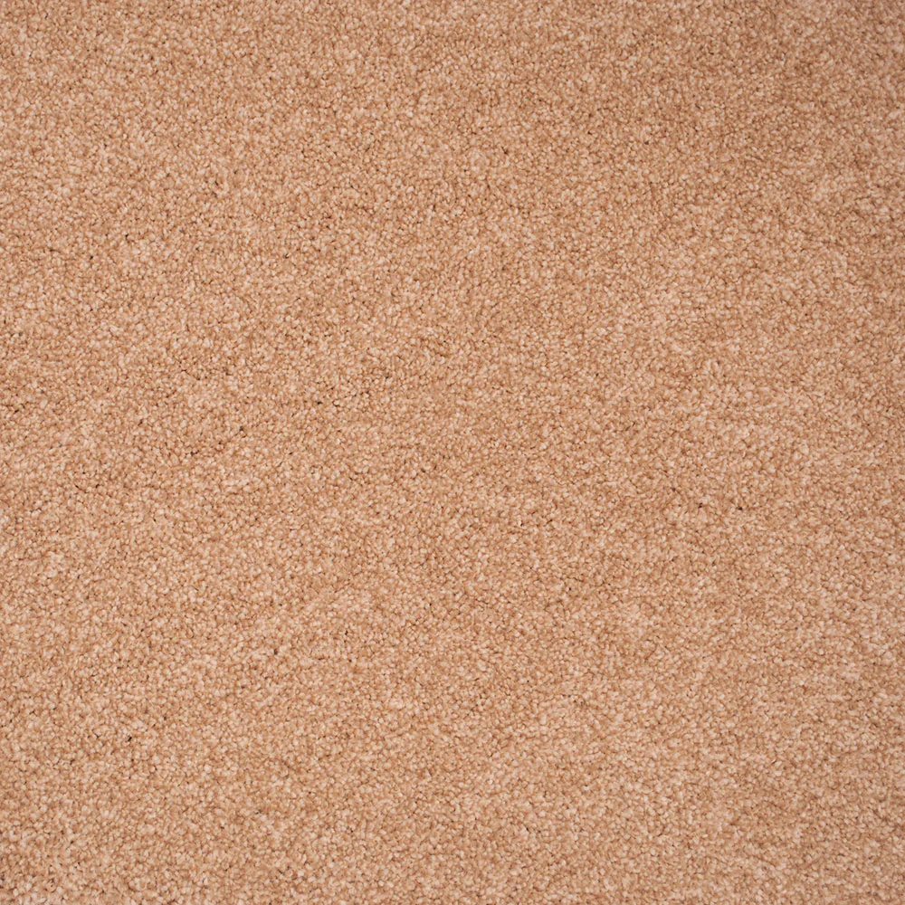 Stainaway Supreme Carpet - Image 5