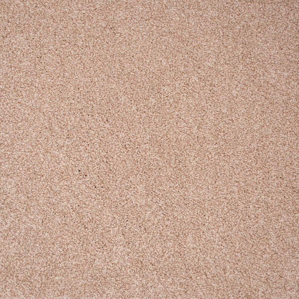 Stainaway Supreme Carpet - Image 7