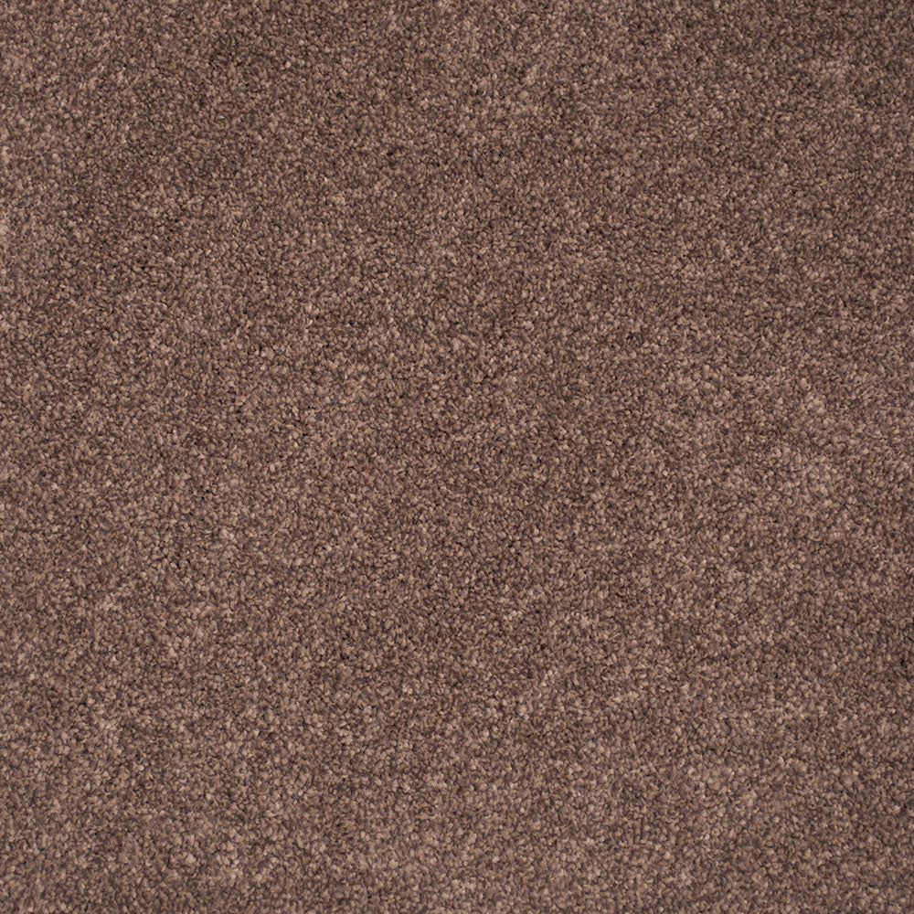 Stainaway Supreme Carpet - Image 9