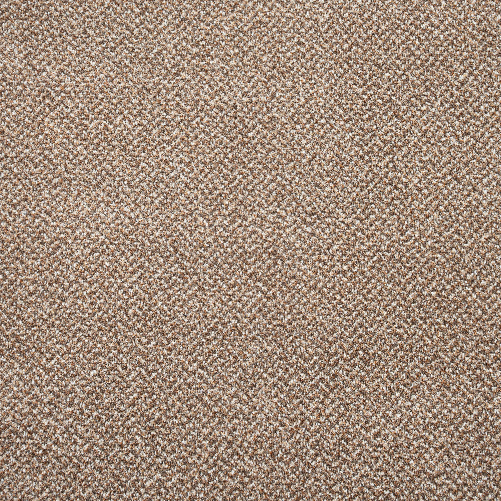 Stainaway Tweed Carpet - Image 11