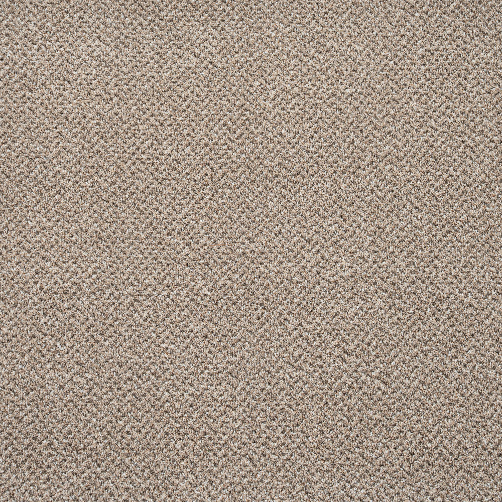 Stainaway Tweed Carpet - Image 12