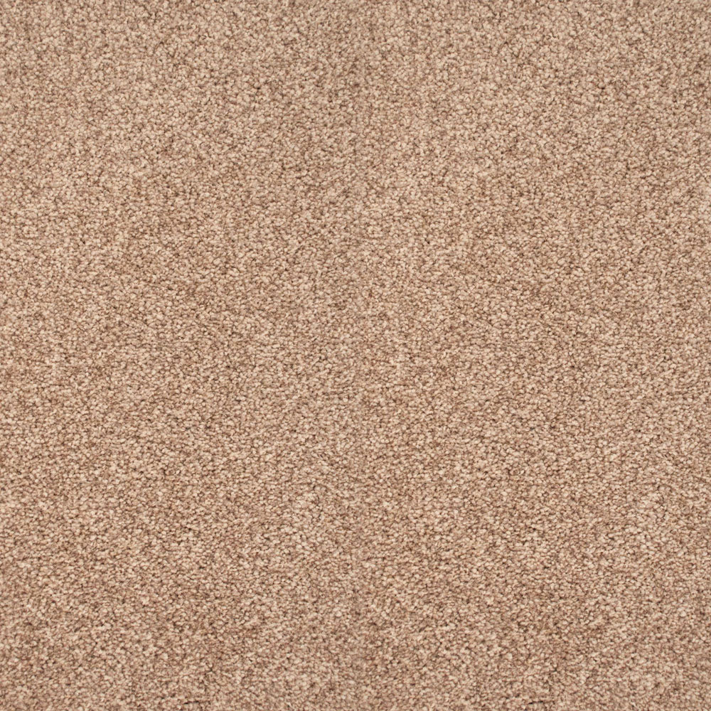 Stainaway Ultra Carpet - Image 10