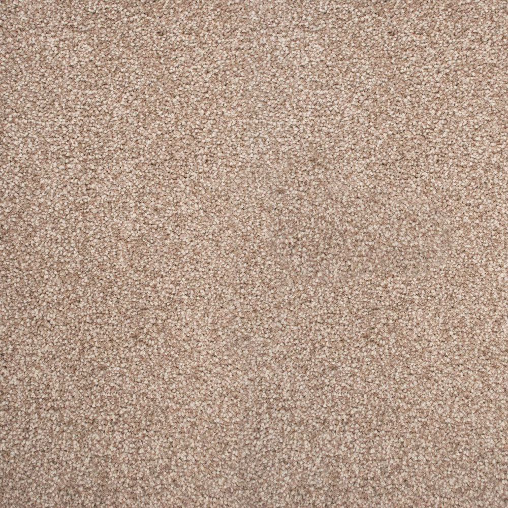 Stainaway Ultra Carpet - Image 11