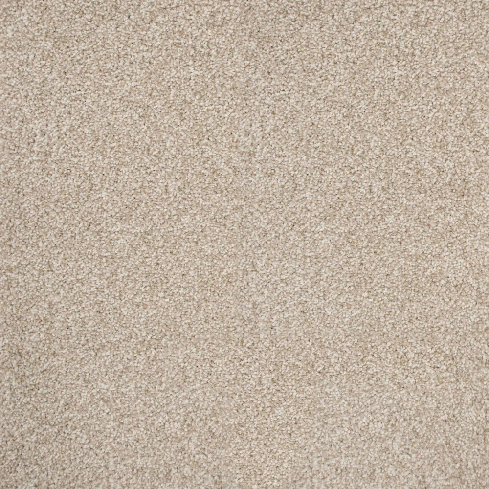 Stainaway Ultra Carpet - Image 13