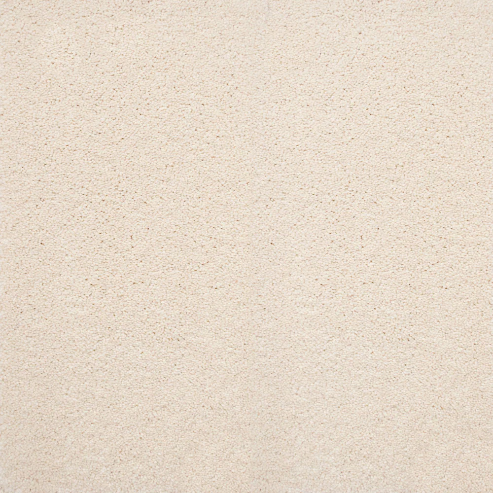 Stainaway Ultra Carpet - Image 2