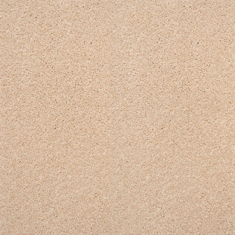 Stainaway Ultra Carpet - Image 3